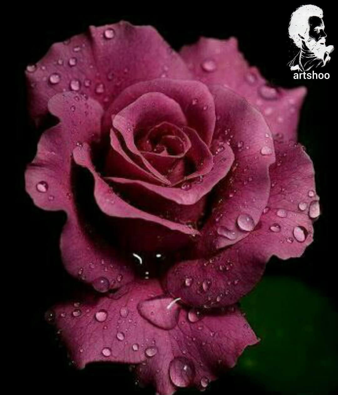 آموزش نقاشی رنگ روغن